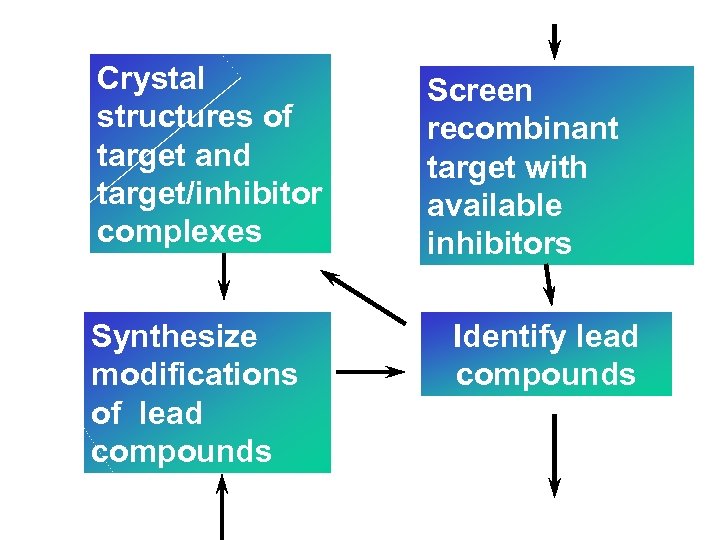 Crystal structures of target and target/inhibitor complexes Synthesize modifications of lead compounds Screen recombinant