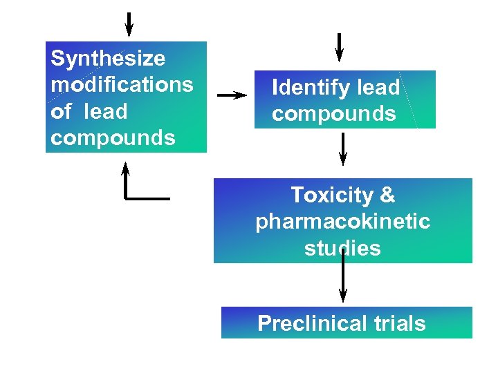 Synthesize modifications of lead compounds Identify lead compounds Toxicity & pharmacokinetic studies Preclinical trials