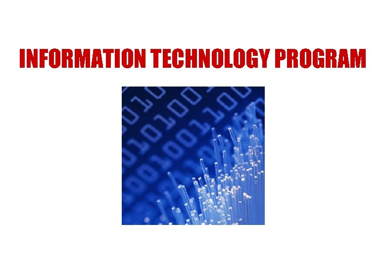 INFORMATION TECHNOLOGY PROGRAM 