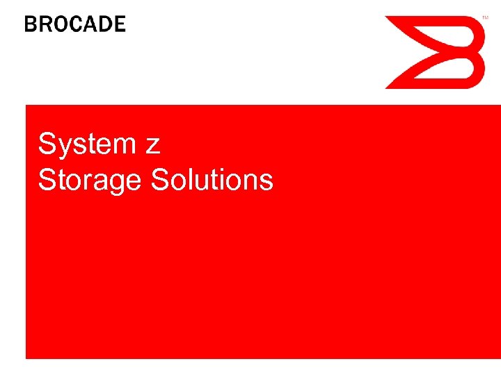 System z Storage Solutions 