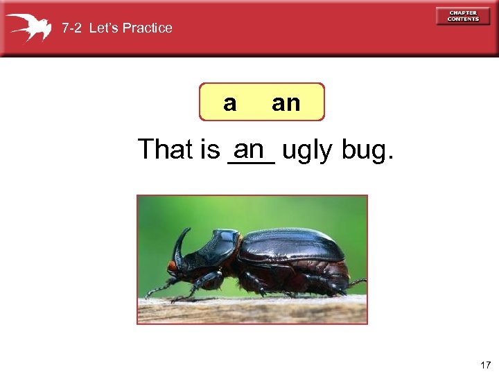 7 -2 Let’s Practice a an an That is ___ ugly bug. 17 