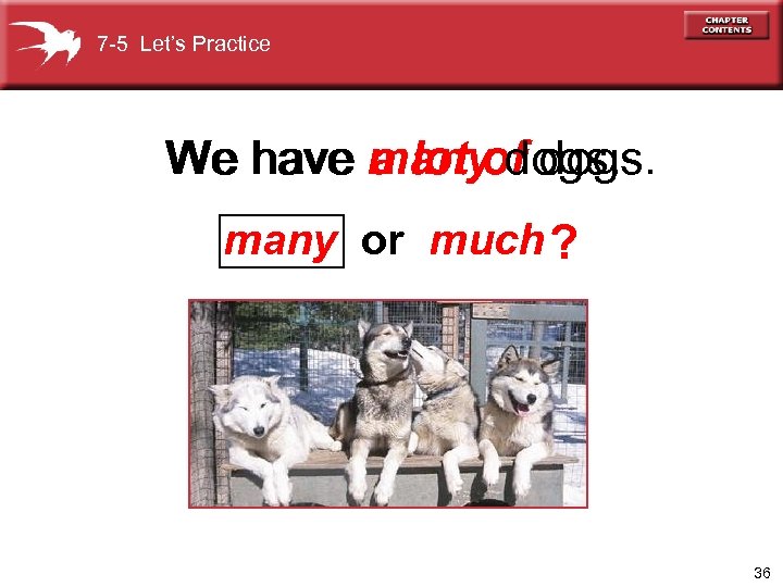 7 -5 Let’s Practice We have many dogs. a lot of dogs. many or