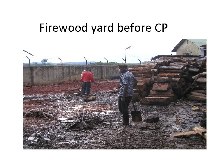 Firewood yard before CP 
