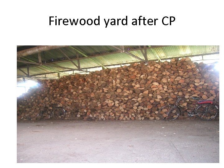 Firewood yard after CP 