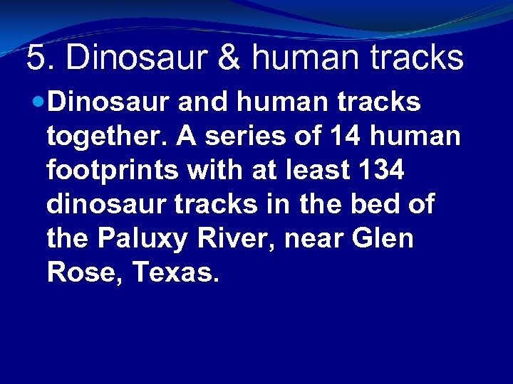 5. Dinosaur & human tracks Dinosaur and human tracks together. A series of 14