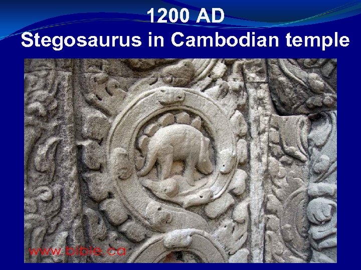 1200 AD Stegosaurus in Cambodian temple 