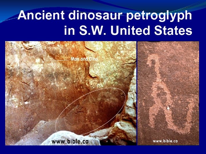 Ancient dinosaur petroglyph in S. W. United States 