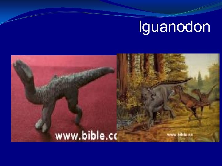 Iguanodon 