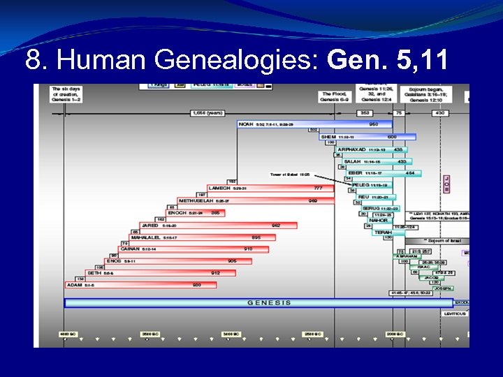 8. Human Genealogies: Gen. 5, 11 