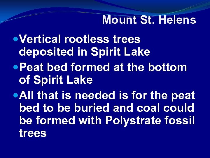 Mount St. Helens Vertical rootless trees deposited in Spirit Lake Peat bed formed at