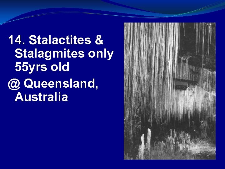 14. Stalactites & Stalagmites only 55 yrs old @ Queensland, Australia 