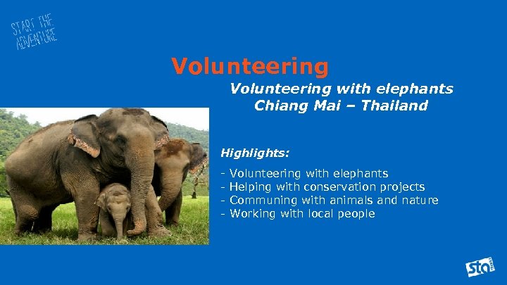 Volunteering with elephants Chiang Mai – Thailand Highlights: - Volunteering with elephants - Helping