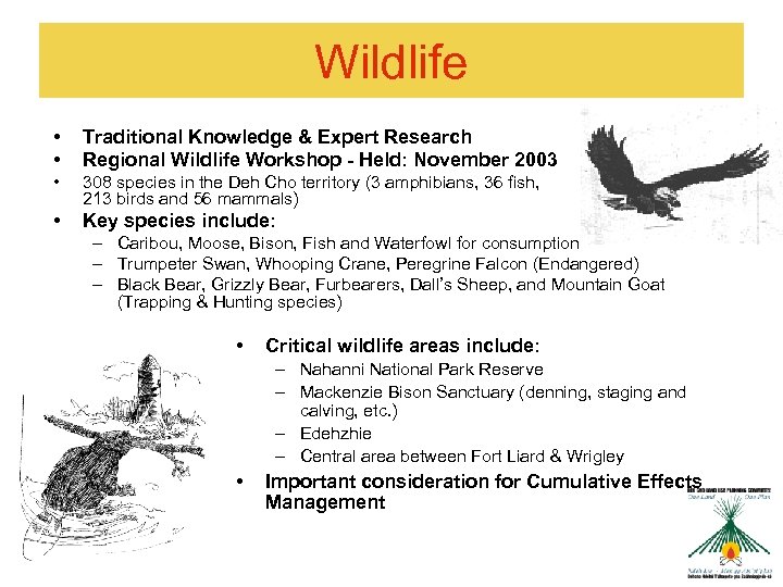 Wildlife • • Traditional Knowledge & Expert Research Regional Wildlife Workshop - Held: November