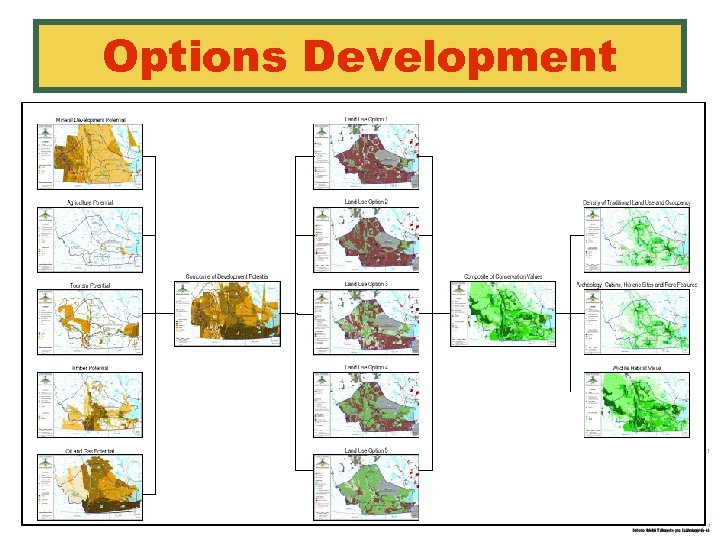 Options Development 