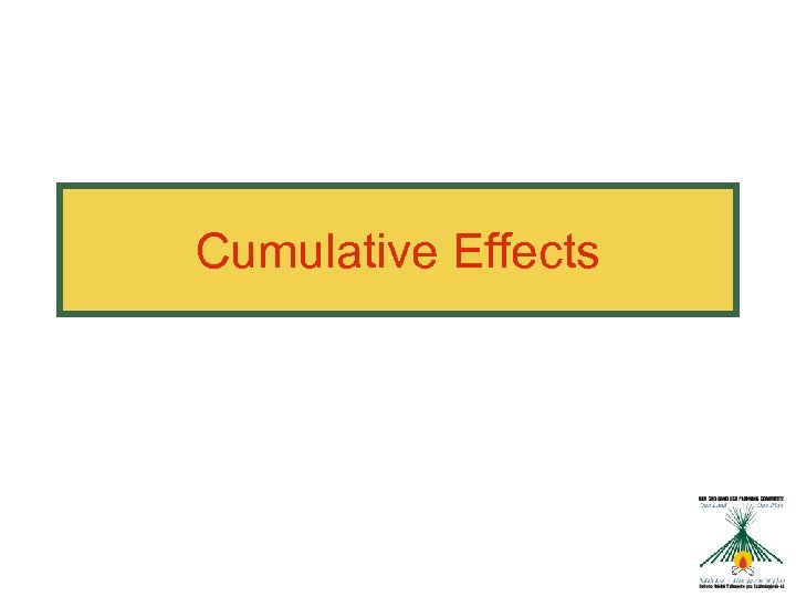 Cumulative Effects 
