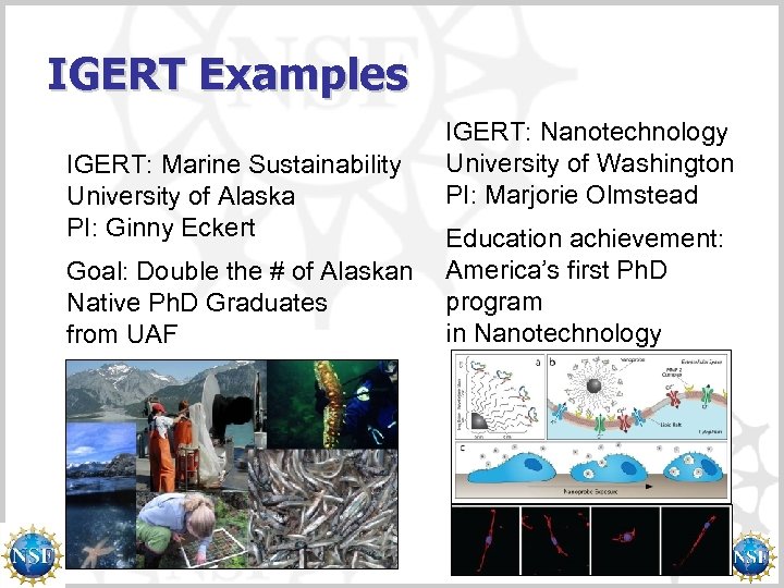 IGERT Examples IGERT: Marine Sustainability University of Alaska PI: Ginny Eckert Goal: Double the