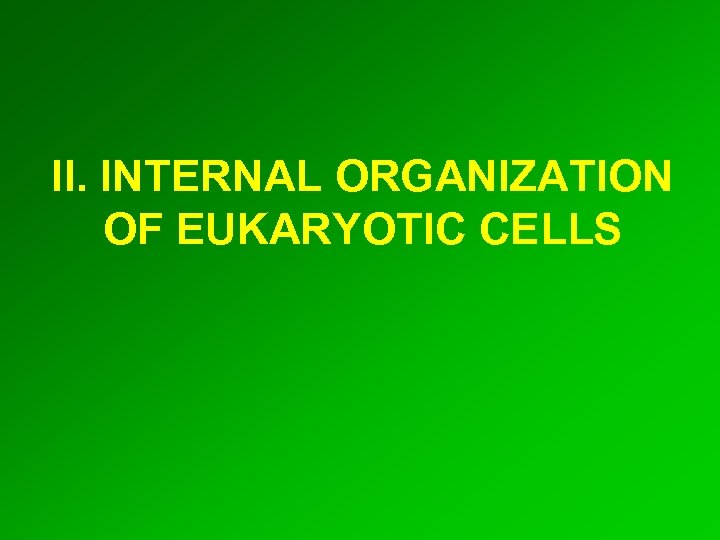 II. INTERNAL ORGANIZATION OF EUKARYOTIC CELLS 