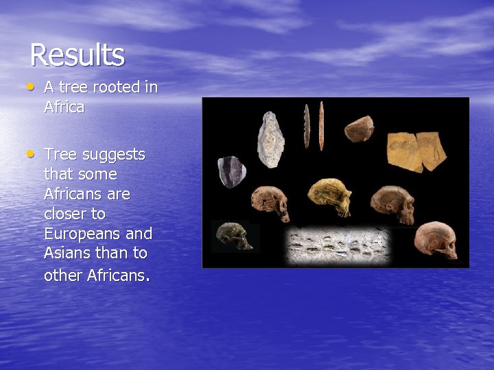 Results • A tree rooted in Africa • Tree suggests that some Africans are