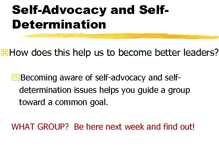 Self-Advocacy and Self. Determination z. How does this help us to become better leaders?