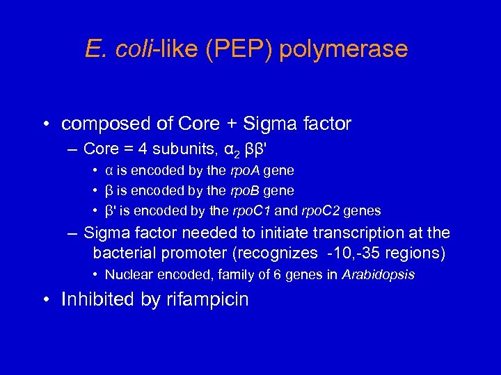 E. coli-like (PEP) polymerase • composed of Core + Sigma factor – Core =