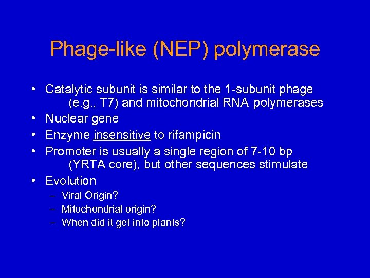 Phage-like (NEP) polymerase • Catalytic subunit is similar to the 1 -subunit phage (e.