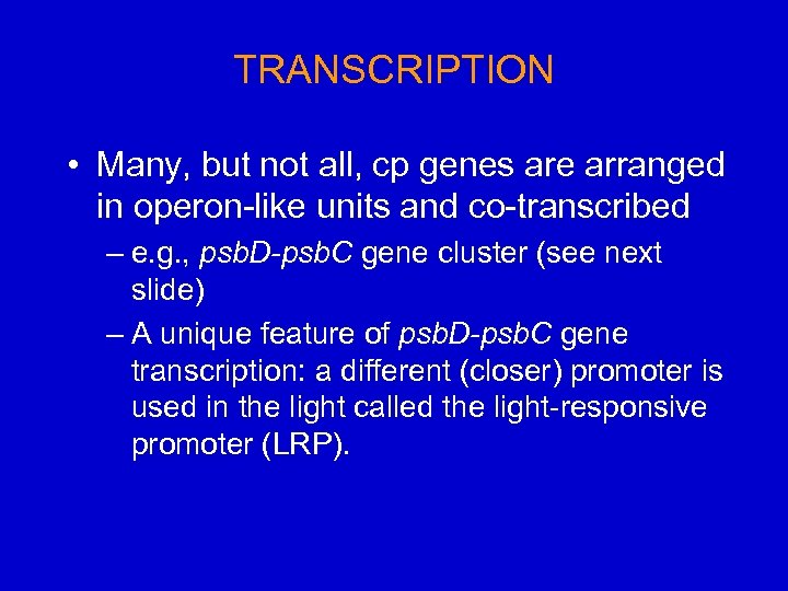 TRANSCRIPTION • Many, but not all, cp genes are arranged in operon-like units and