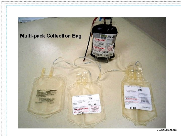 Multi-pack Collection Bag 