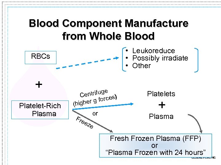 Blood Component Manufacture from Whole Blood • Leukoreduce • Possibly irradiate • Other RBCs
