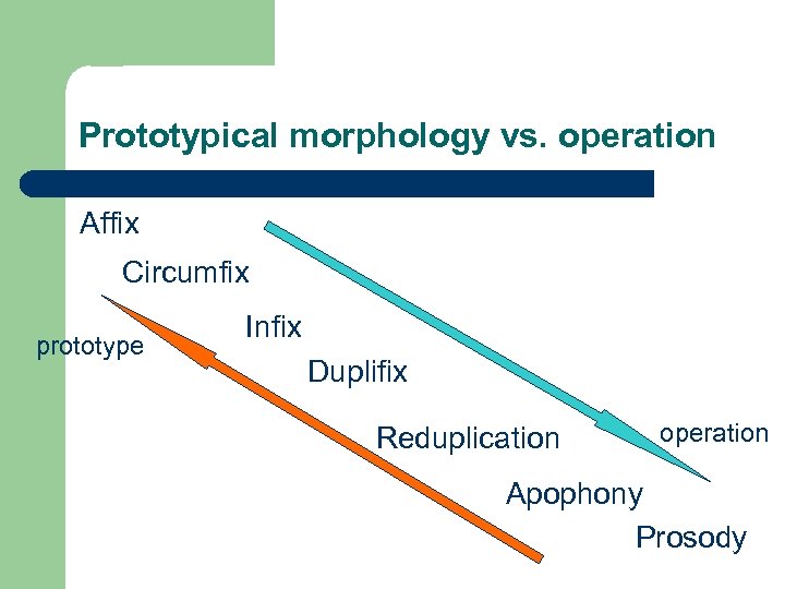 Prototypical morphology vs. operation Affix Circumfix prototype Infix Duplifix Reduplication operation Apophony Prosody 