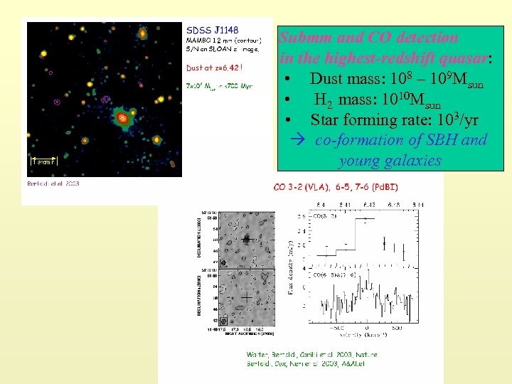Submm and CO detection in the highest-redshift quasar: • Dust mass: 108 – 109