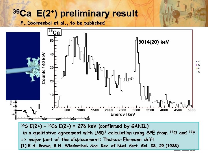 36 Ca E(2+) preliminary result P. Doornenbal et al. , to be published Cluster
