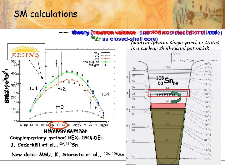 SM calculations theory (neutron valence + proton core excitations and theory (neutron valence and
