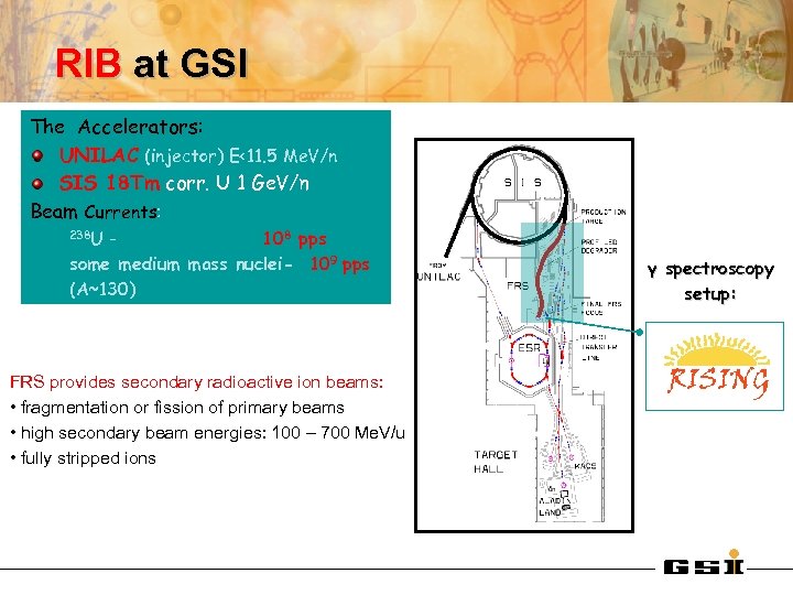 RIB at GSI The Accelerators: UNILAC (injector) E<11. 5 Me. V/n SIS 18 Tm