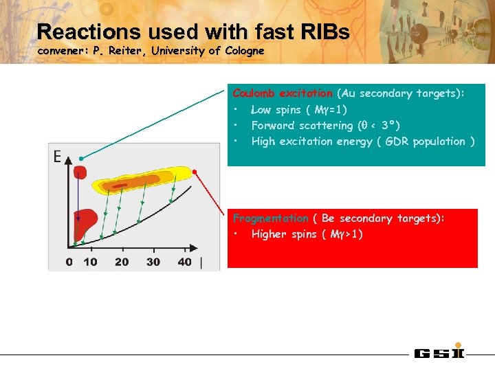 Reactions used with fast RIBs convener: P. Reiter, University of Cologne Coulomb excitation