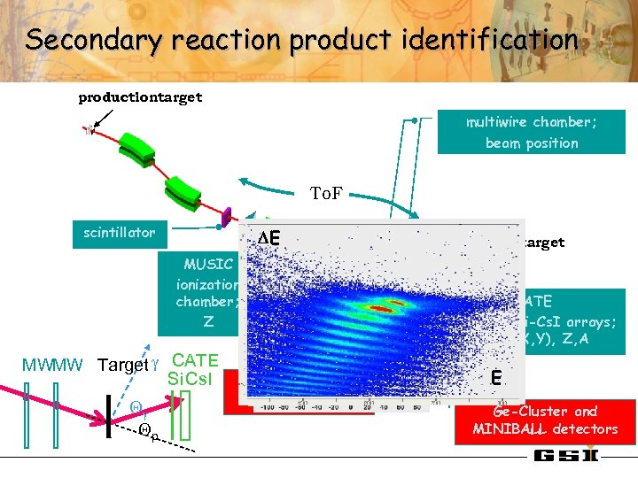 Secondary reaction product identification productiontarget multiwire chamber; beam position To. F scintillator DE MUSIC