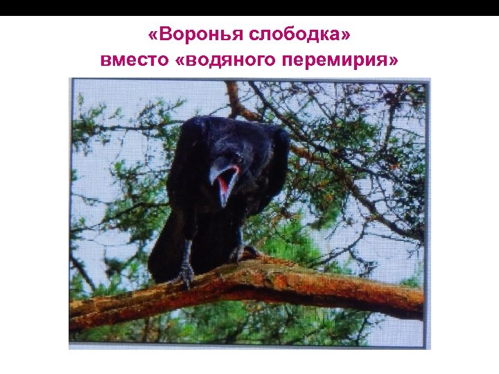  «Воронья слободка» вместо «водяного перемирия» 