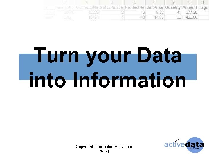 Turn your Data into Information Copyright Information. Active Inc. 2004 