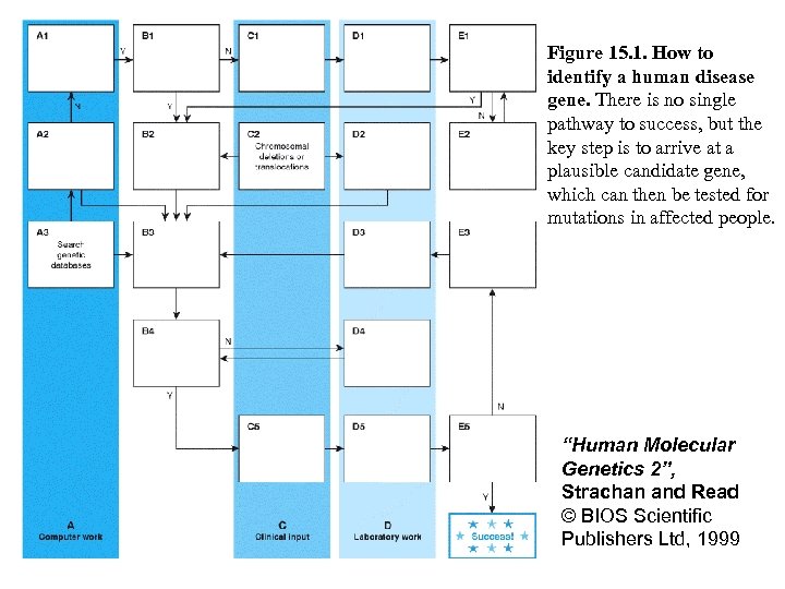 Figure 15. 1. How to identify a human disease gene. There is no single