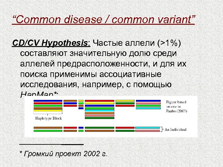 “Common disease / common variant” CD/CV Hypothesis: Частые аллели (>1%) составляют значительную долю среди