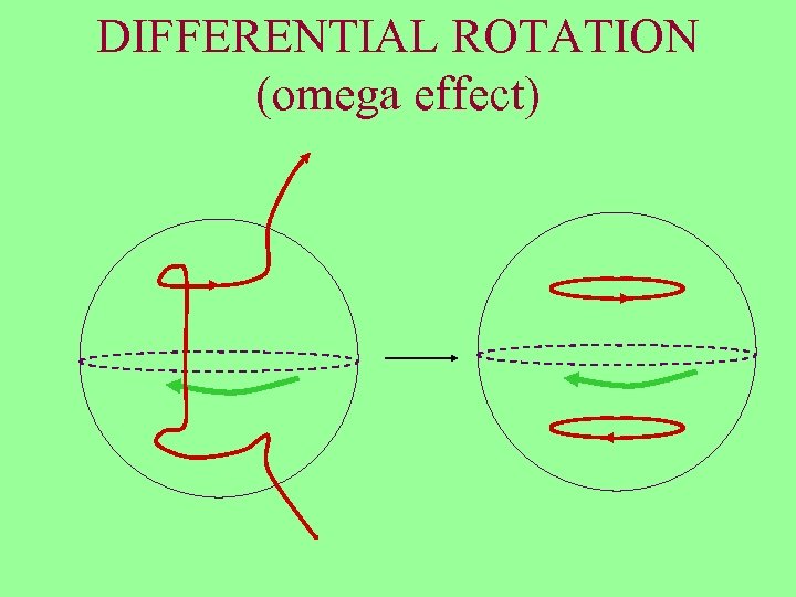 DIFFERENTIAL ROTATION (omega effect) 