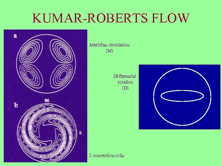 KUMAR-ROBERTS FLOW Meridian circulation (M) Differential rotation (D) 2 convection rolls 