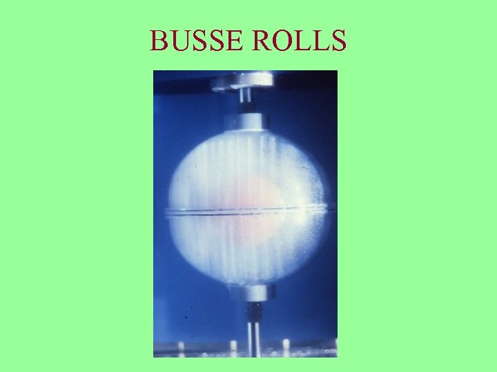 BUSSE ROLLS 