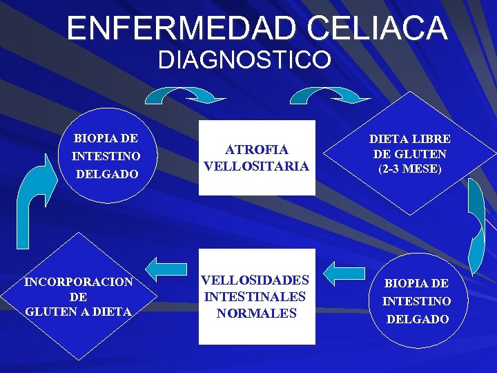 ENFERMEDAD CELIACA DIAGNOSTICO BIOPIA DE INTESTINO DELGADO INCORPORACION DE GLUTEN A DIETA ATROFIA VELLOSITARIA