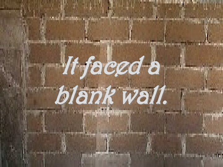 It faced a blank wall. 