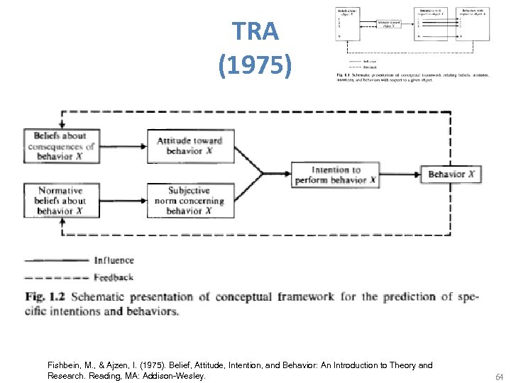 TRA (1975) Fishbein, M. , & Ajzen, I. (1975). Belief, Attitude, Intention, and Behavior: