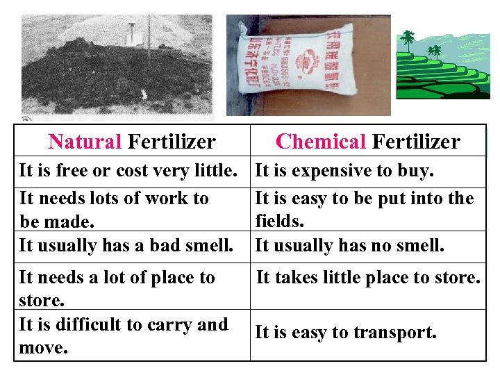 Chemical Fertilizer In Naturalpicture: the first Fertilizer A pile of animal shit (manure) It