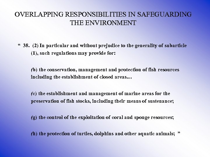OVERLAPPING RESPONSIBILITIES IN SAFEGUARDING THE ENVIRONMENT “ 38. (2) In particular and without prejudice