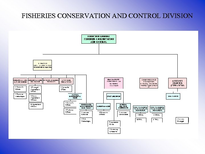 FISHERIES CONSERVATION AND CONTROL DIVISION 