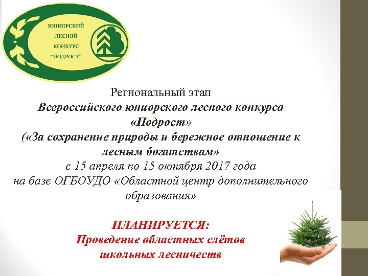 Региональный этап Всероссийского юниорского лесного конкурса «Подрост» ( «За сохранение природы и бережное отношение