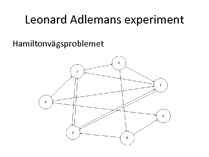 Leonard Adlemans experiment Hamiltonvägsproblemet 